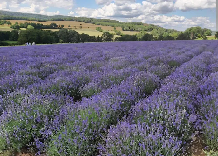 Carpe Diem Lejlighed