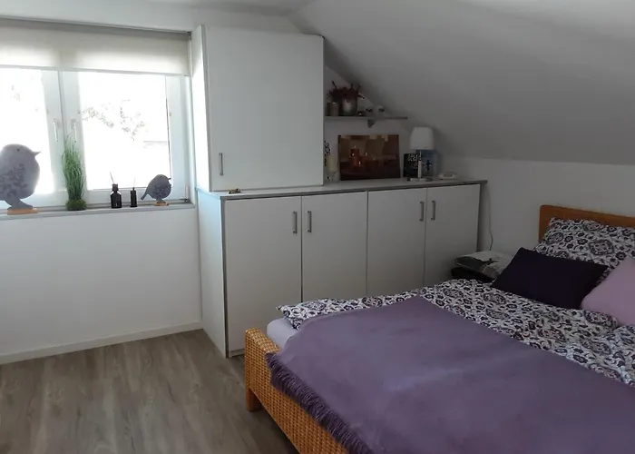 Carpe Diem * Horn-Bad Meinberg